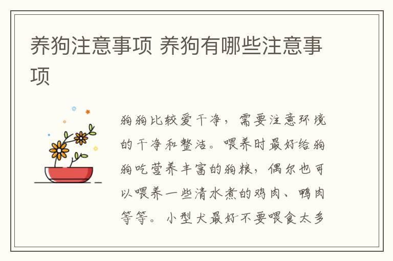 养狗注意事项 养狗有哪些注意事项