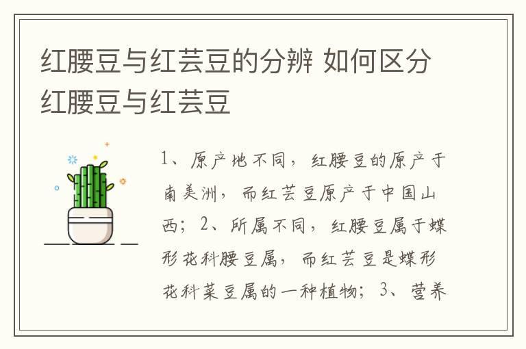 红腰豆与红芸豆的分辨 如何区分红腰豆与红芸豆