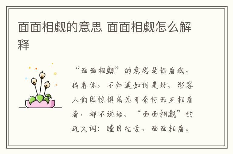 面面相觑的意思 面面相觑怎么解释