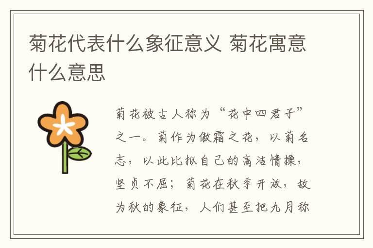 菊花代表什么象征意义 菊花寓意什么意思