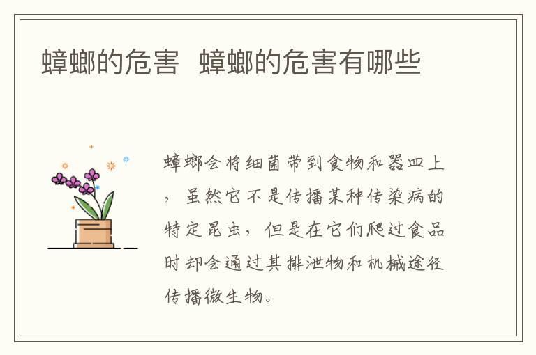 蟑螂的危害 蟑螂的危害有哪些