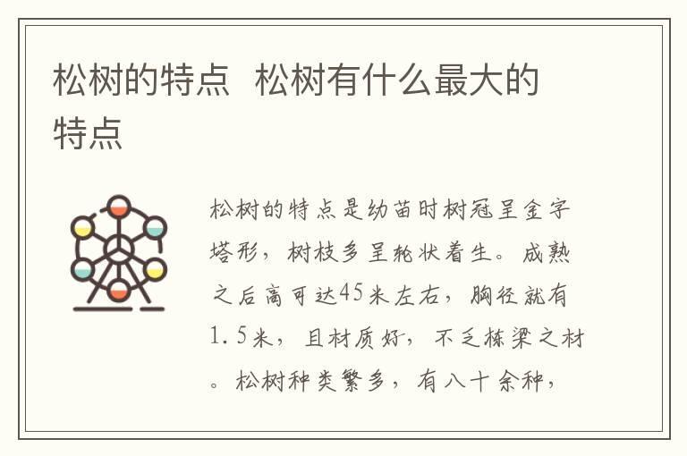 松树的特点 松树有什么最大的特点