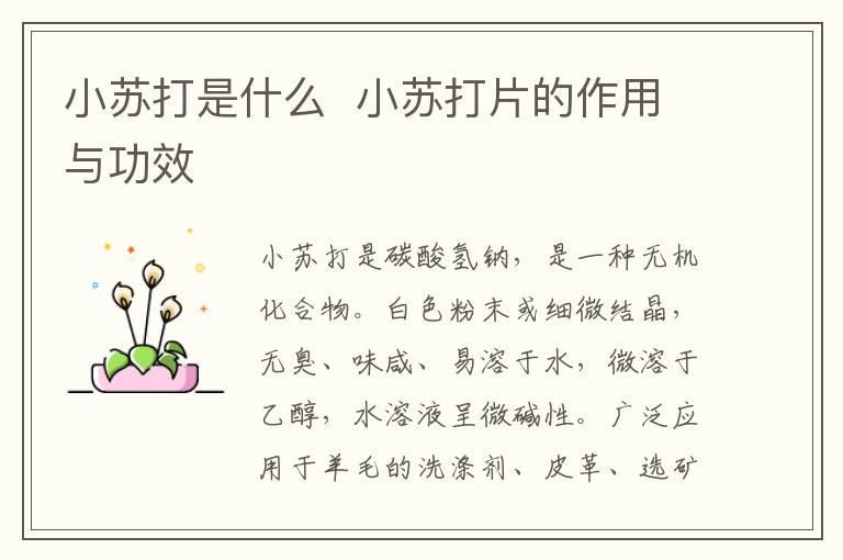 小苏打是什么 小苏打片的作用与功效