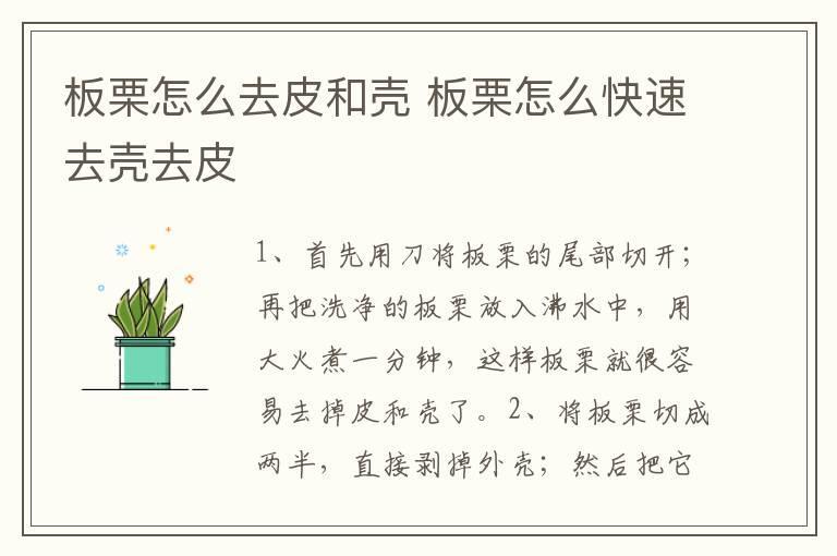 板栗怎么去皮和壳 板栗怎么快速去壳去皮