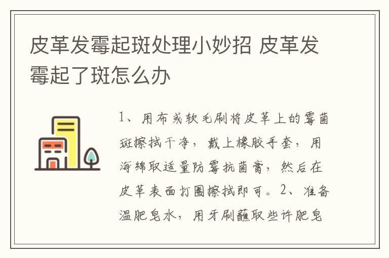 皮革发霉起斑处理小妙招 皮革发霉起了斑怎么办