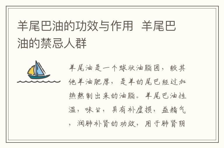 羊尾巴油的功效与作用 羊尾巴油的禁忌人群