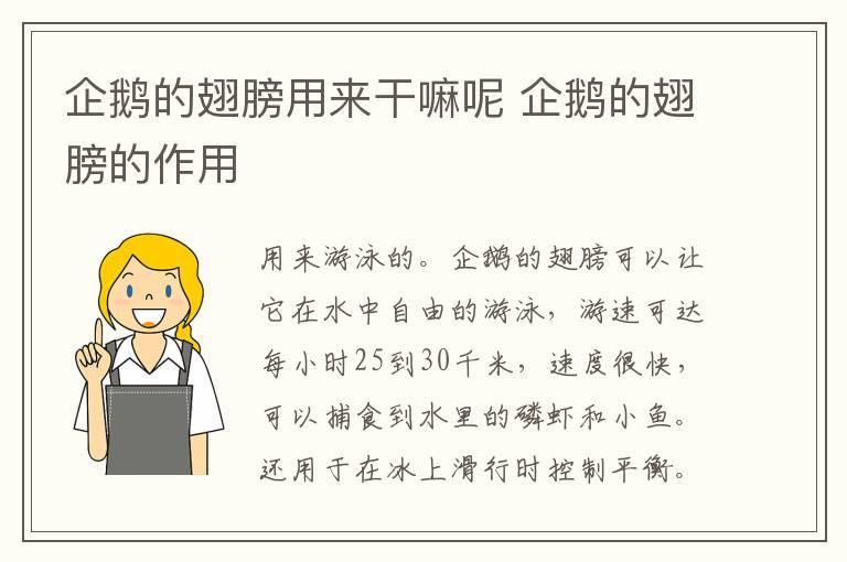 企鹅的翅膀用来干嘛呢 企鹅的翅膀的作用