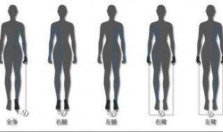 怎样测量体脂 体脂测量的几种方法