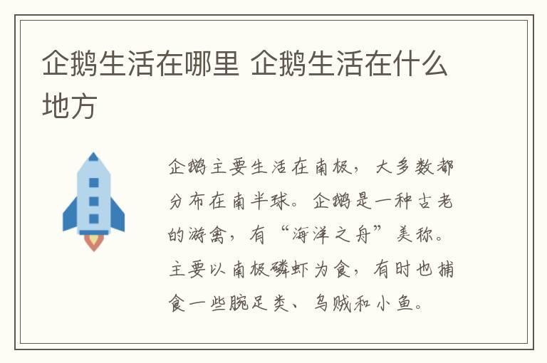 企鹅生活在哪里 企鹅生活在什么地方