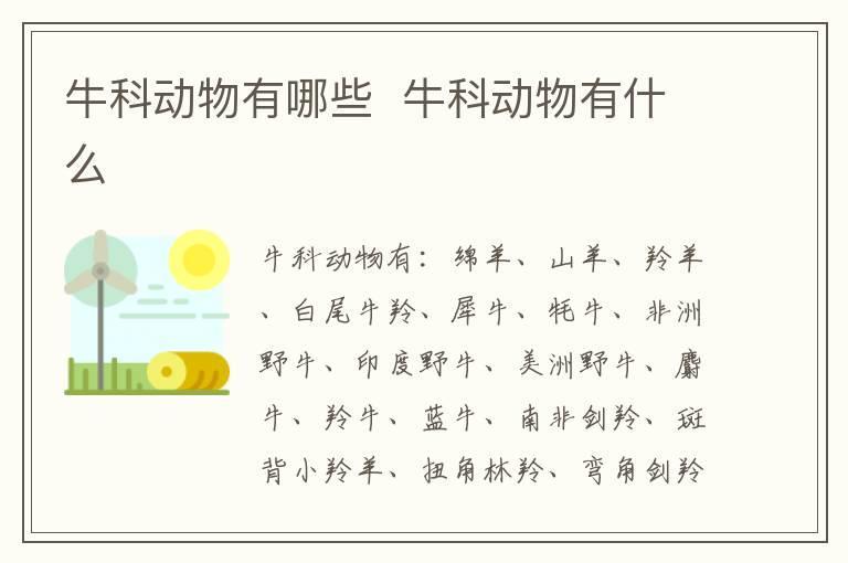 牛科动物有哪些 牛科动物有什么