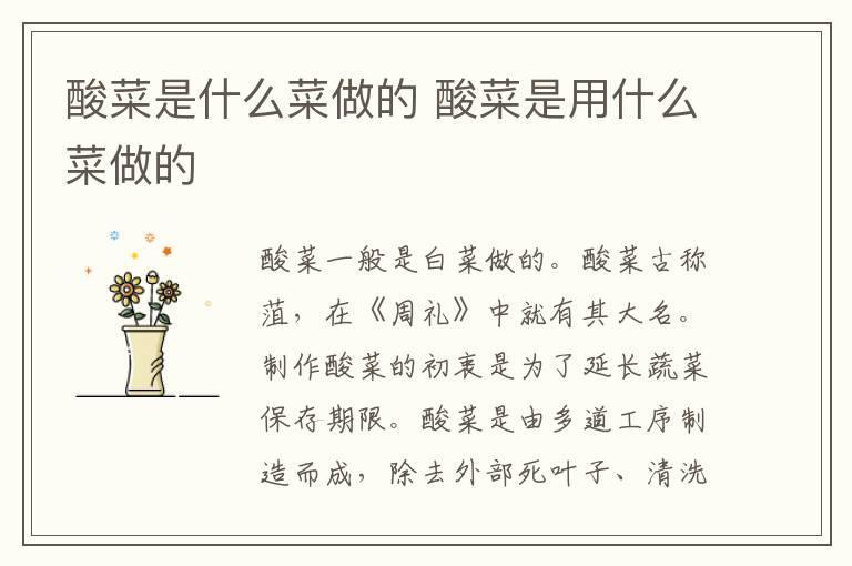 酸菜是什么菜做的 酸菜是用什么菜做的