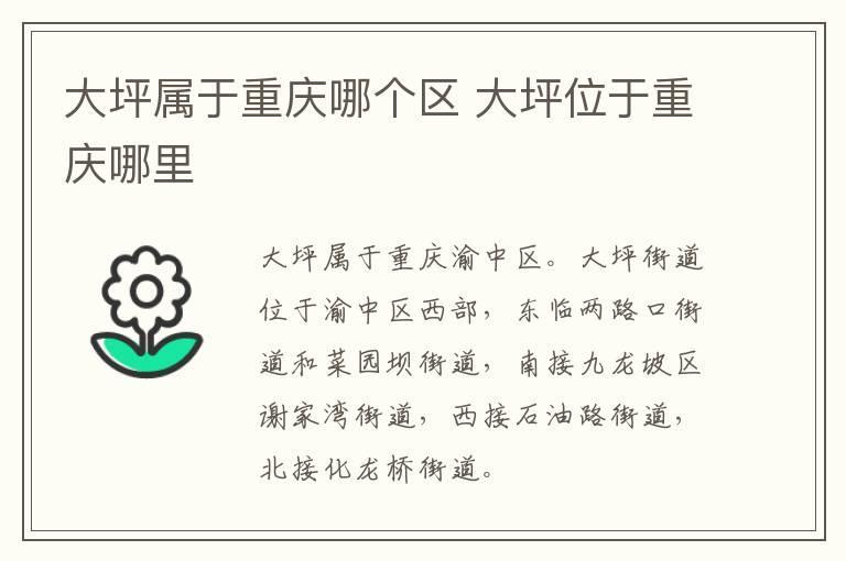 大坪属于重庆哪个区 大坪位于重庆哪里