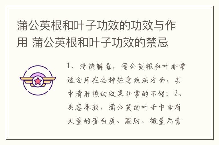 蒲公英根和叶子功效的功效与作用 蒲公英根和叶子功效的禁忌
