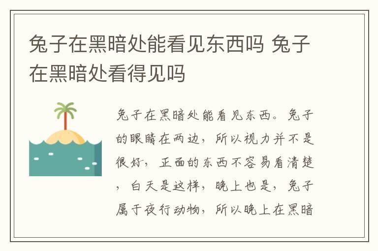 兔子在黑暗处能看见东西吗 兔子在黑暗处看得见吗