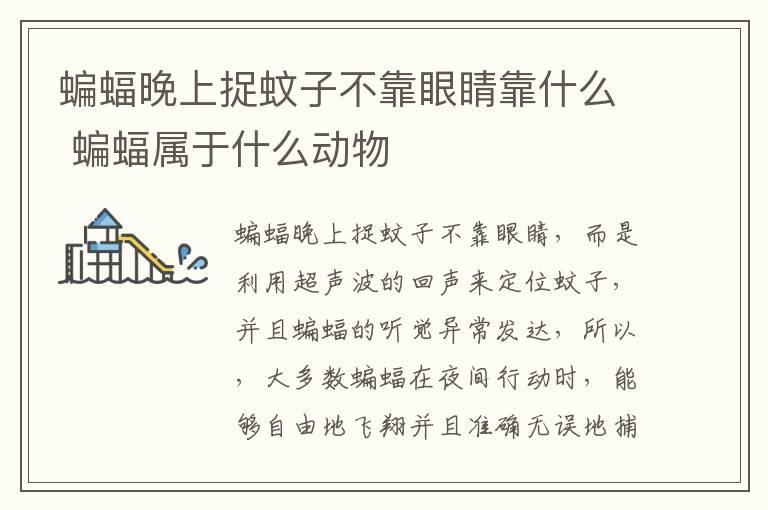 蝙蝠晚上捉蚊子不靠眼睛靠什么 蝙蝠属于什么动物