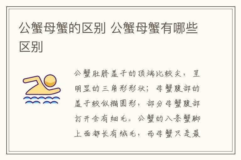 公蟹母蟹的区别 公蟹母蟹有哪些区别