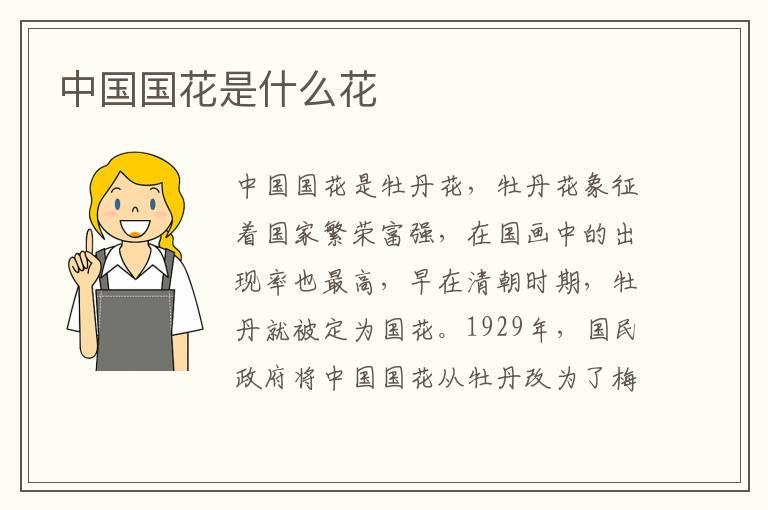 中国国花是什么花