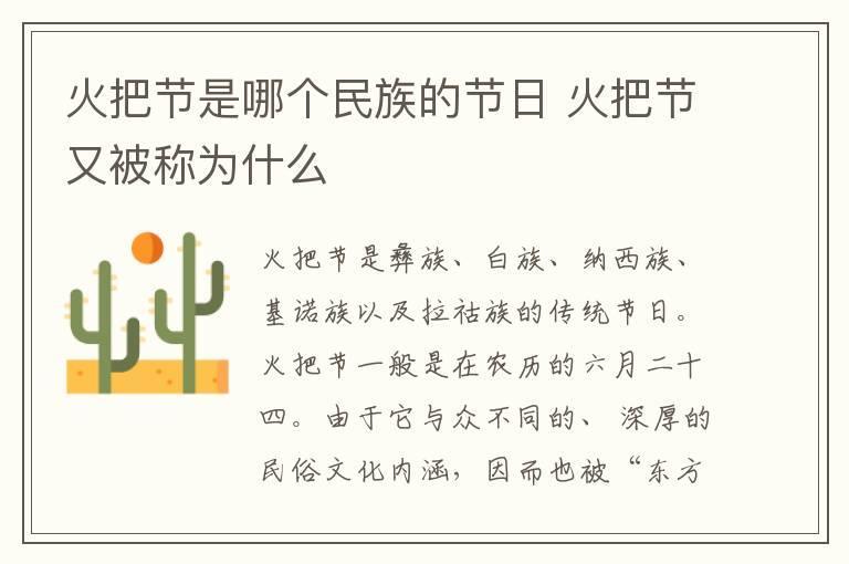 青春之歌的编剧以及主演简介