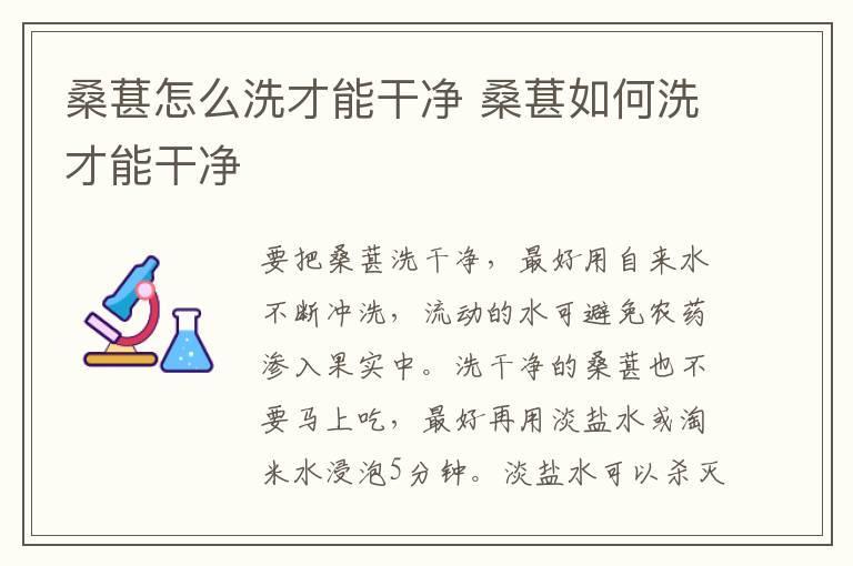 桑葚怎么洗才能干净 桑葚如何洗才能干净