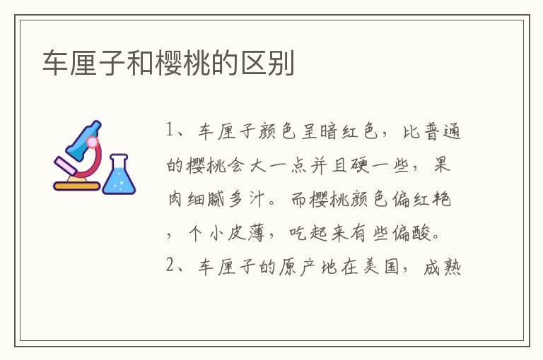车厘子和樱桃的区别