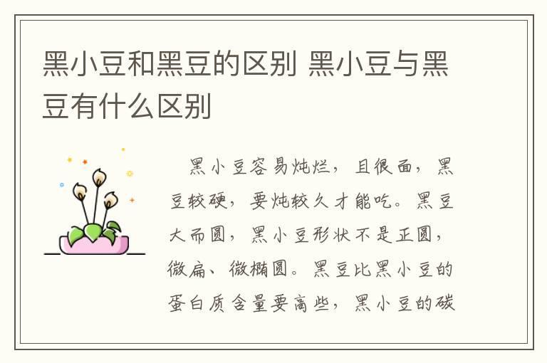 黑小豆和黑豆的区别 黑小豆与黑豆有什么区别