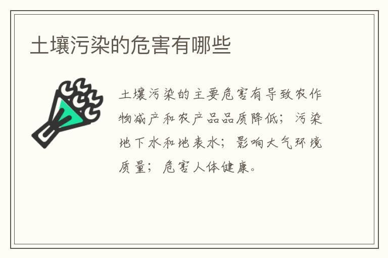 土壤污染的危害有哪些