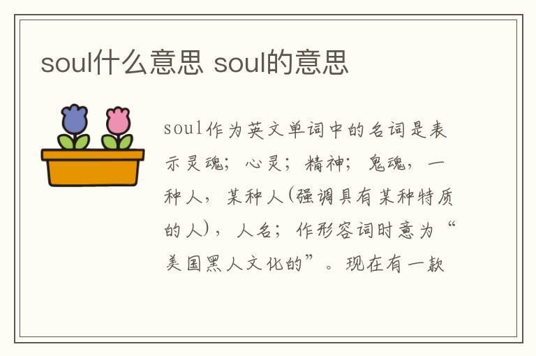 soul什么意思 soul的意思