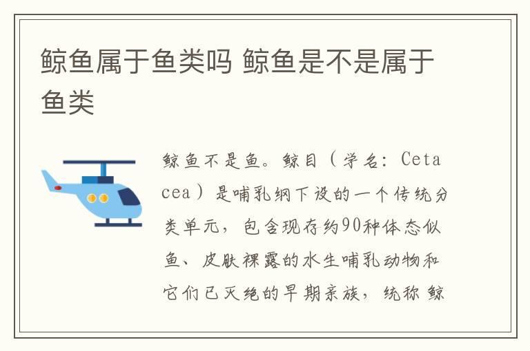 鲸鱼属于鱼类吗 鲸鱼是不是属于鱼类