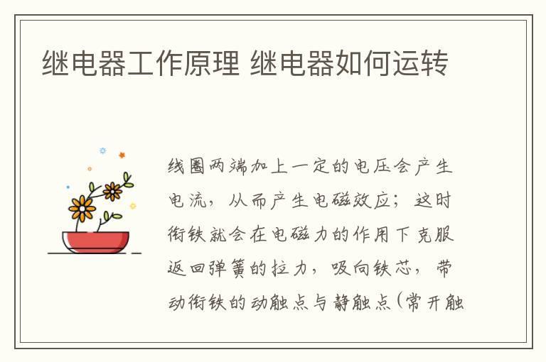 泼水节是哪个民族的节日 哪些民族会过泼水节