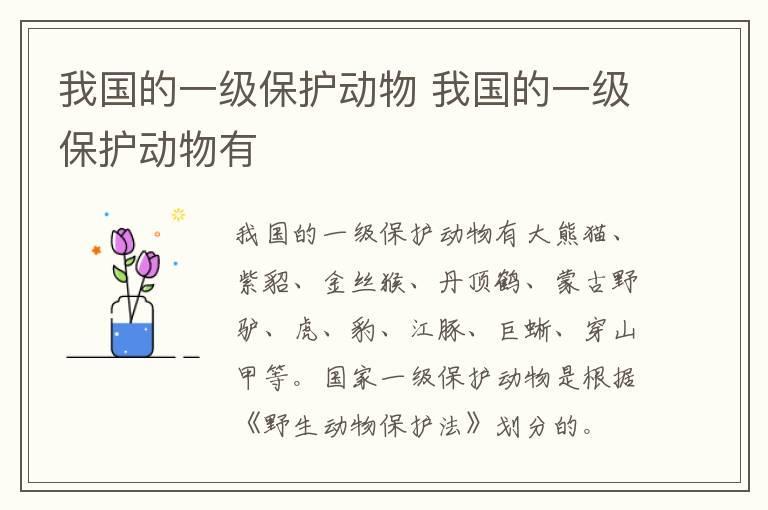 我国的一级保护动物 我国的一级保护动物有