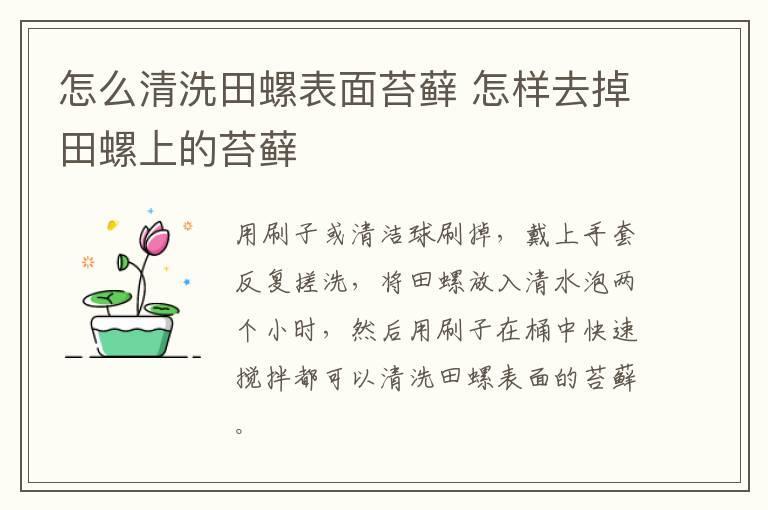 怎么清洗田螺表面苔藓 怎样去掉田螺上的苔藓