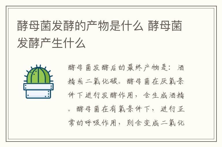 酵母菌发酵的产物是什么 酵母菌发酵产生什么