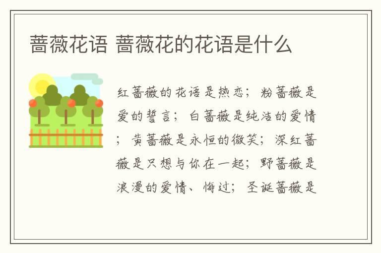 蔷薇花语 蔷薇花的花语是什么