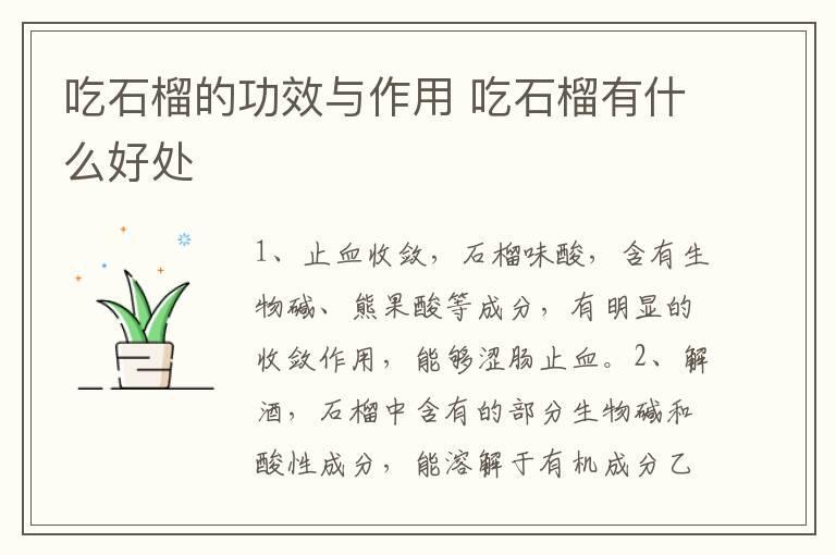 吃石榴的功效与作用 吃石榴有什么好处