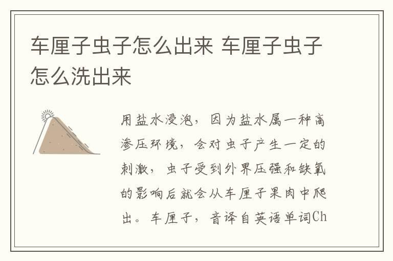 车厘子虫子怎么出来 车厘子虫子怎么洗出来