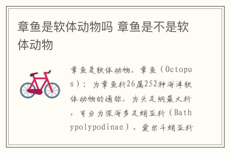 章鱼是软体动物吗 章鱼是不是软体动物