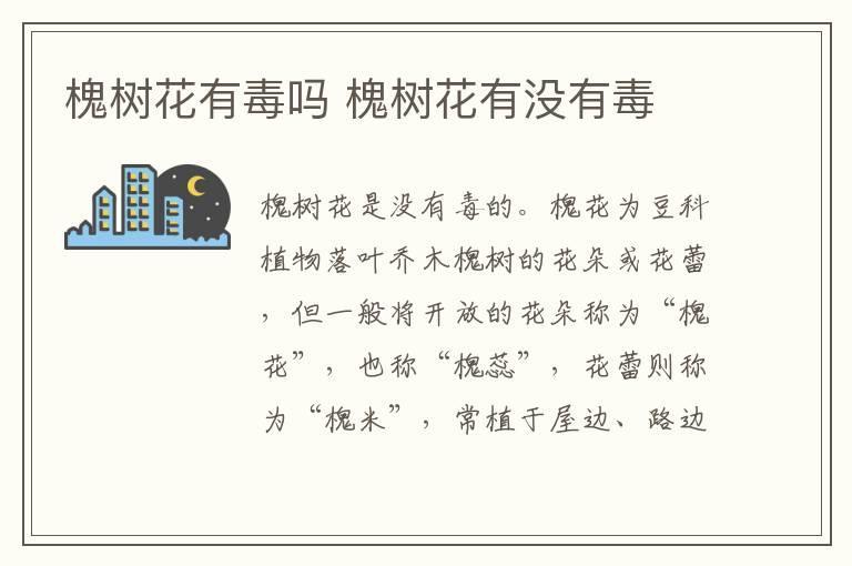 槐树花有毒吗 槐树花有没有毒