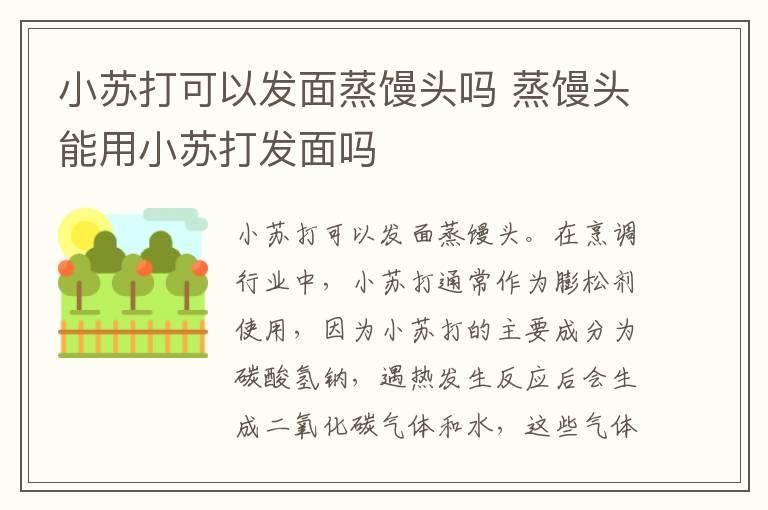 小苏打可以发面蒸馒头吗 蒸馒头能用小苏打发面吗
