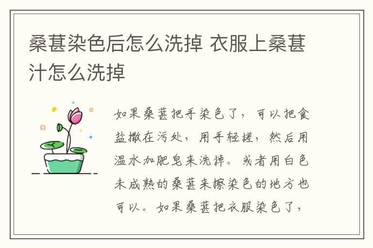 桑葚染色后怎么洗掉 衣服上桑葚汁怎么洗掉