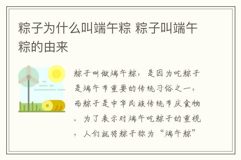 粽子为什么叫端午粽 粽子叫端午粽的由来