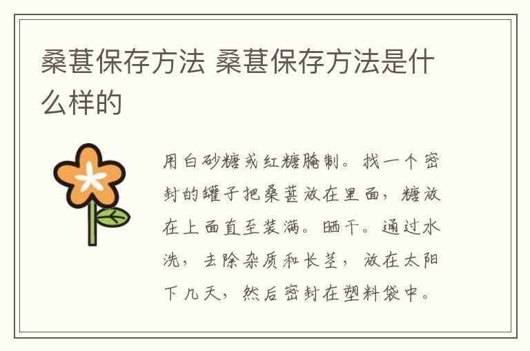 桑葚保存方法 桑葚保存方法是什么样的
