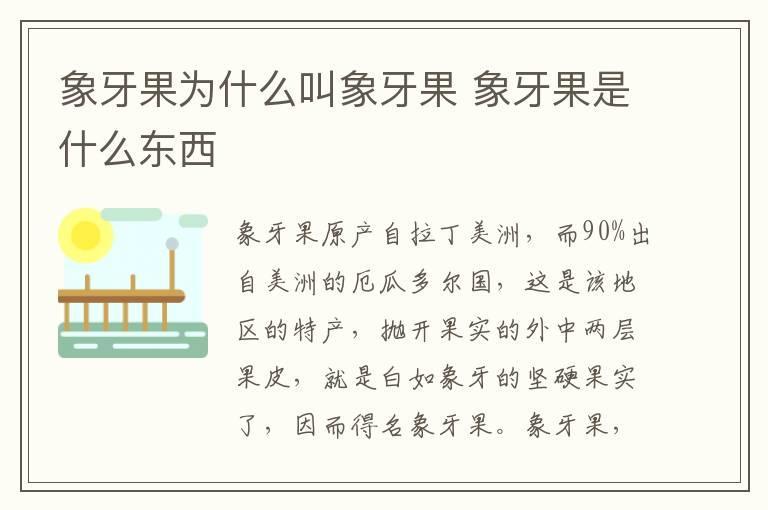 象牙果为什么叫象牙果 象牙果是什么东西