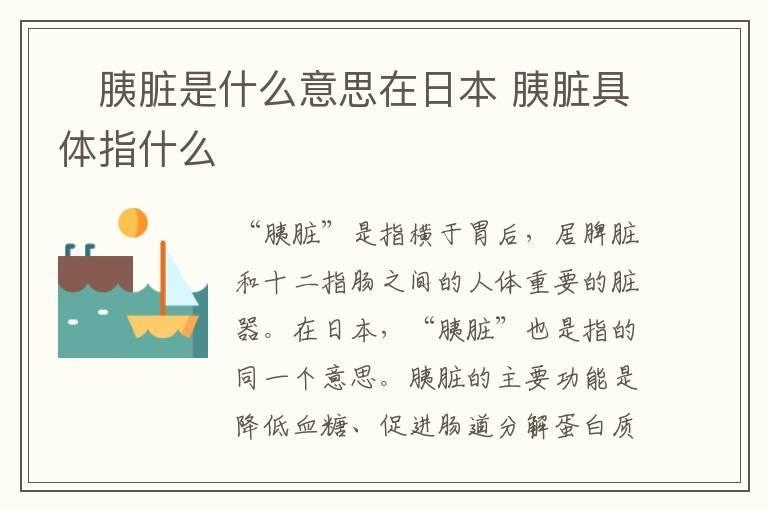 胰脏是什么意思在日本 胰脏具体指什么