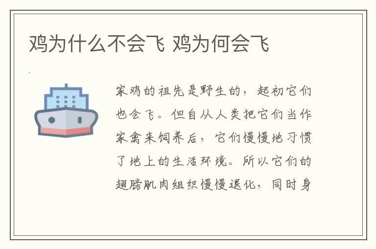 鸡为什么不会飞 鸡为何会飞