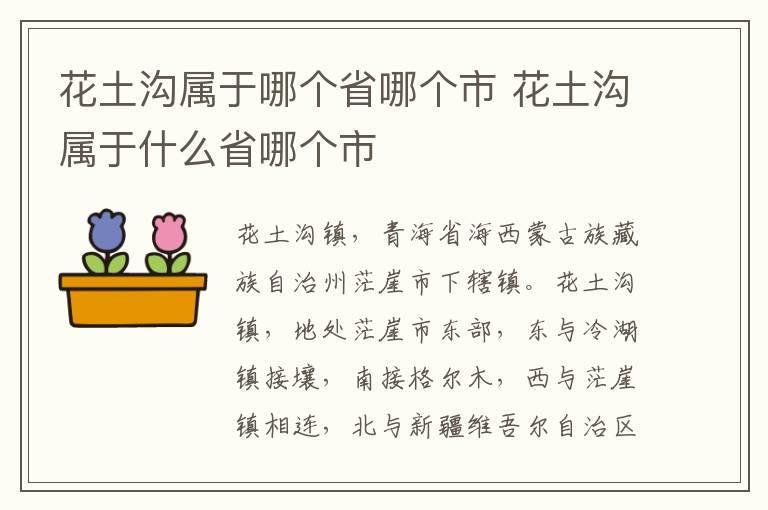 花土沟属于哪个省哪个市 花土沟属于什么省哪个市