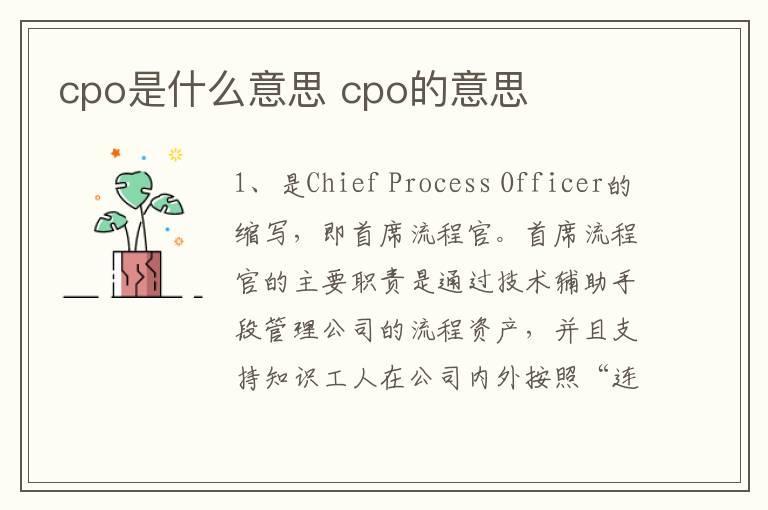 cpo是什么意思 cpo的意思