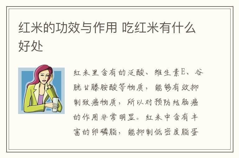 红米的功效与作用 吃红米有什么好处