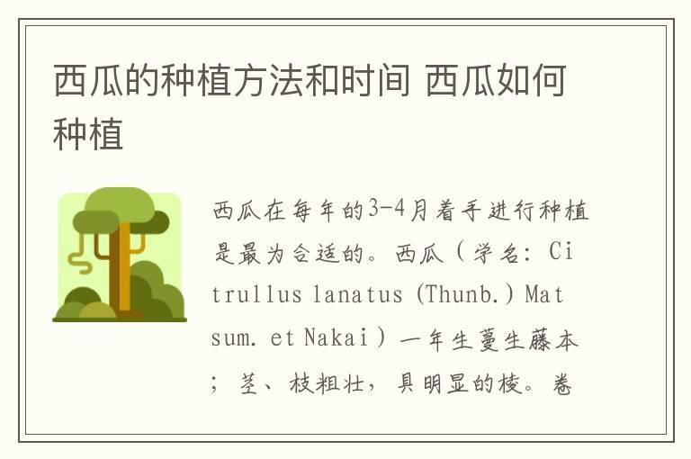 西瓜的种植方法和时间 西瓜如何种植