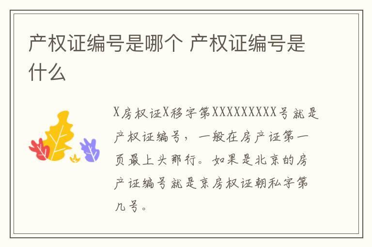 产权证编号是哪个 产权证编号是什么