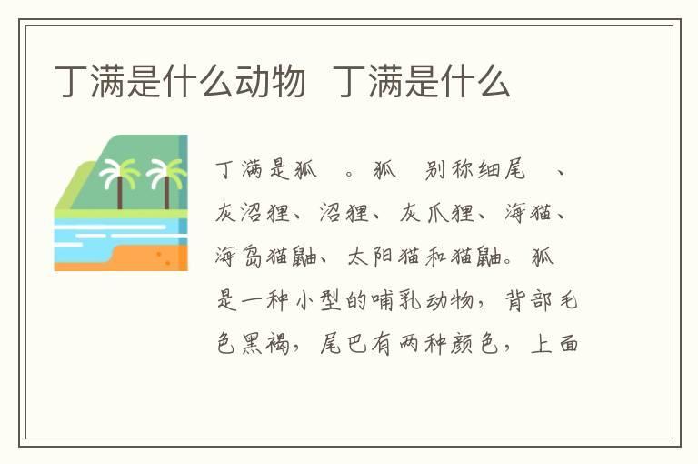 丁满是什么动物 丁满是什么